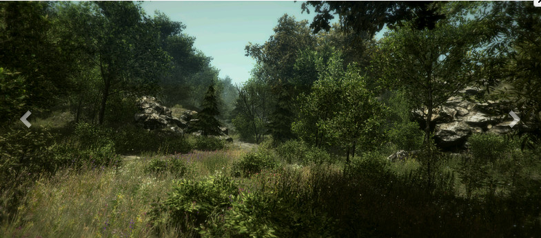 写实森林场景 超美的树林场景模型