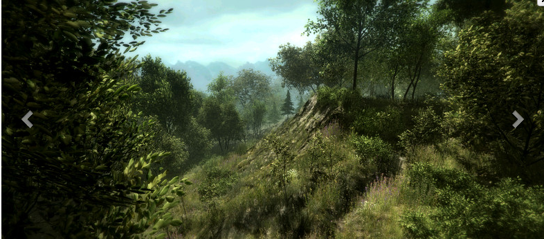 写实森林场景 超美的树林场景模型