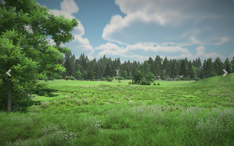 现实森林场景模型 森林景观