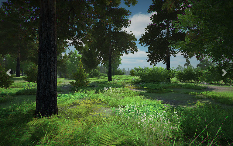 现实森林场景模型 森林景观