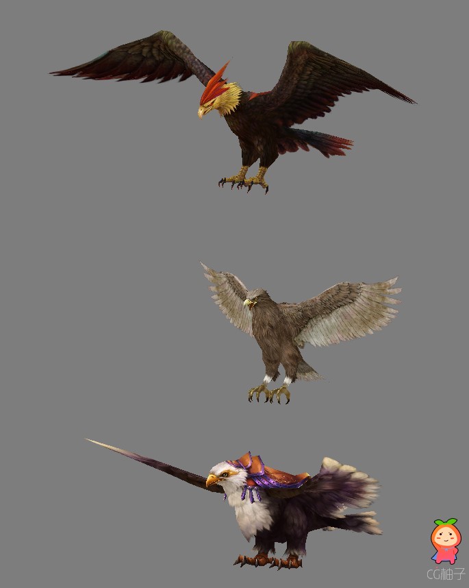 游戏里三只不同品种的鹰3dmax模型 3D游戏模型 老鹰坐骑3D模型