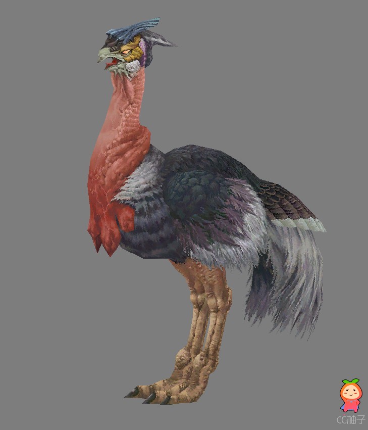 鸵鸟3D模型 3D动物角色模型下载，3D美术资源。
