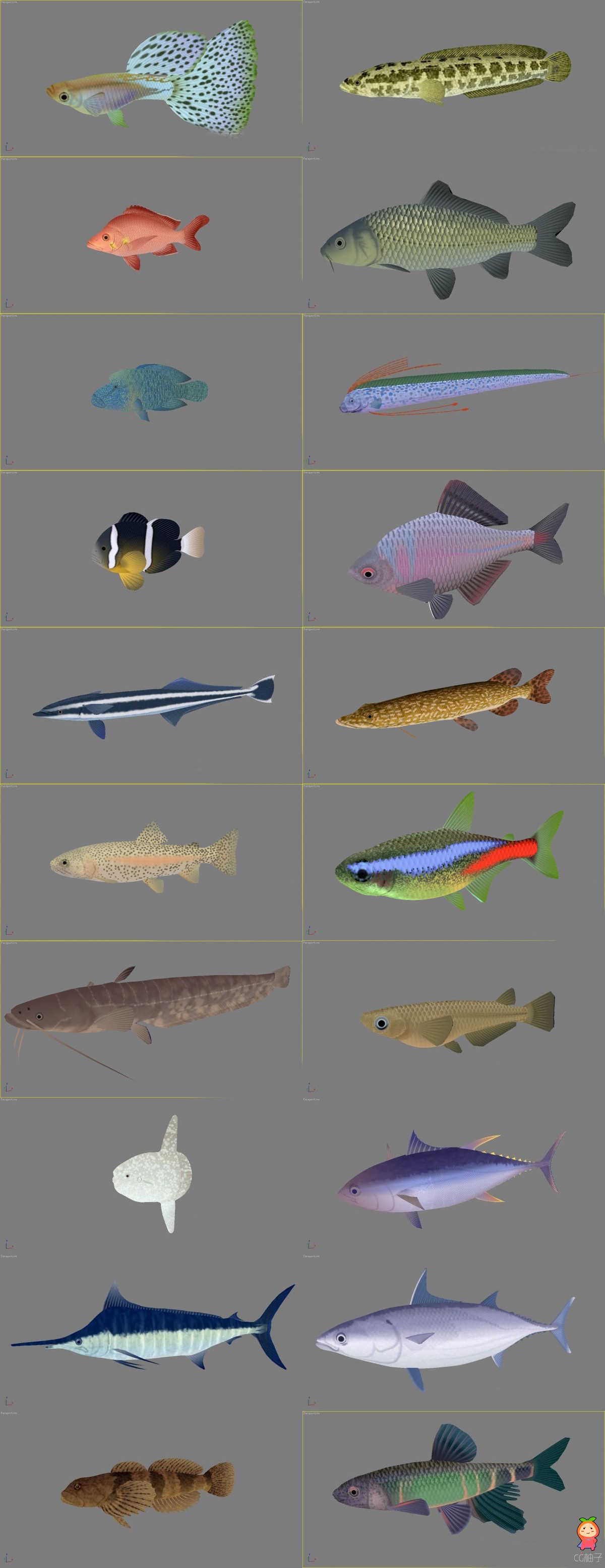 各种鱼的3D角色模型合集 鱼3D模型+贴图+材质+绑定 3D动画模型