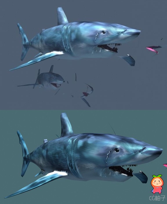 鱼类3D角色模型 鲨鱼3D模型下载带PSD格式贴图 有绑定和材质