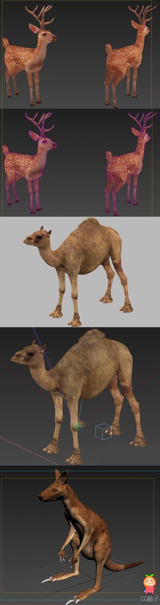 哺乳类动物3D模型下载 袋鼠 梅花鹿 骆驼3d角色模型 有材质