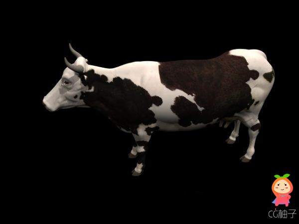 写实奶牛3D模型下载,一头牛的3D角色模型,有绑定和材质
