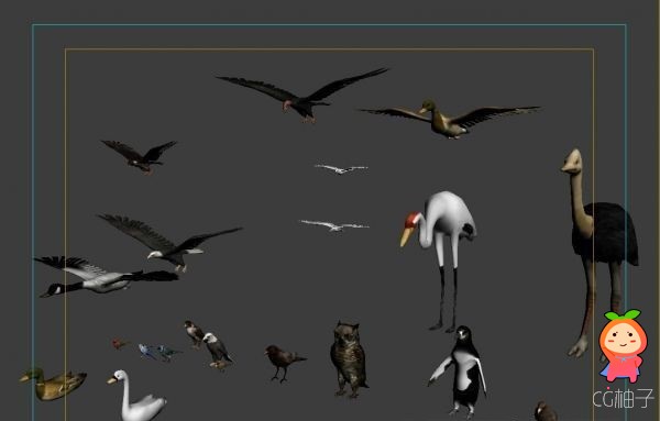 飞禽类3D模型下载,3D动物模型,有绑定有材质,动画模型