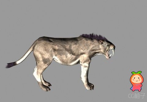 美洲豹3D模型，写实豹3D角色模型