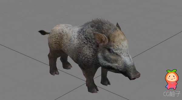 有点Q的野猪3D模型，写实小猪3D角色模型，3D美术资源下载
