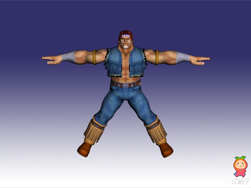 《街头霸王4》街霸 Street Fighter IV 霍克（T.Hawk）3D模型
