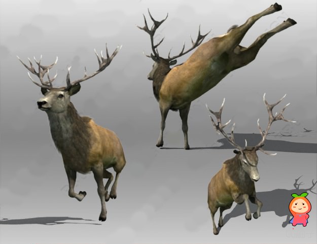 3Dmax fbx Stag Animated 3D模型下载
