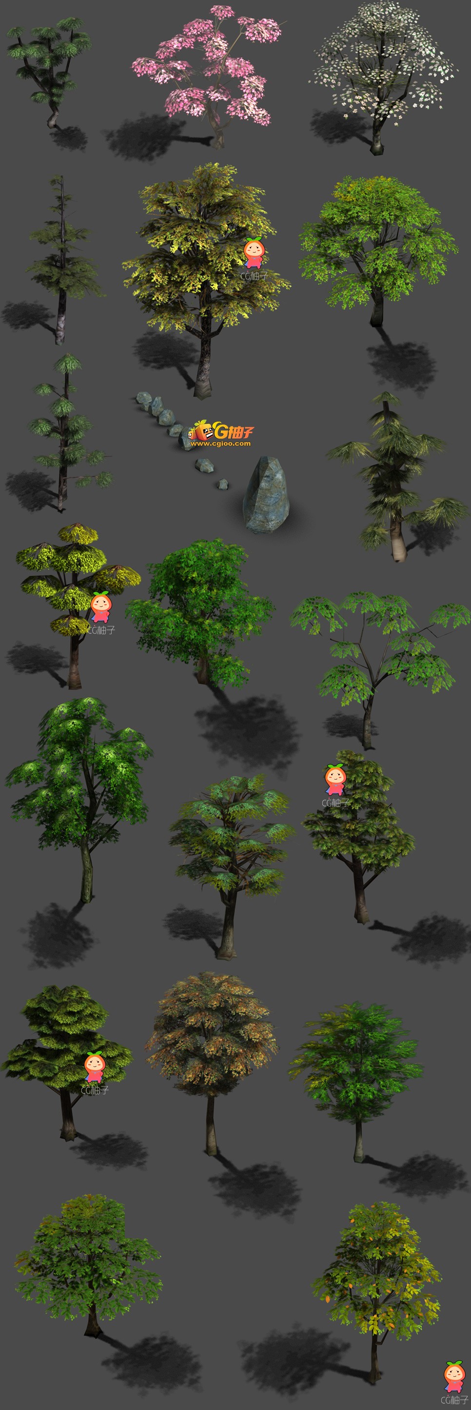 【免费】树木低模下载，植物模型资源，3dmax植物模型