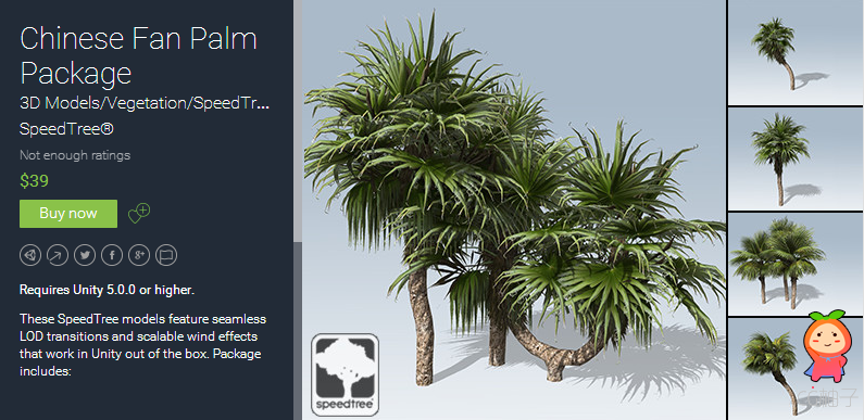 Chinese Fan Palm Package 1.0 unity3d asset U3D模型插件下载 unity3d下载