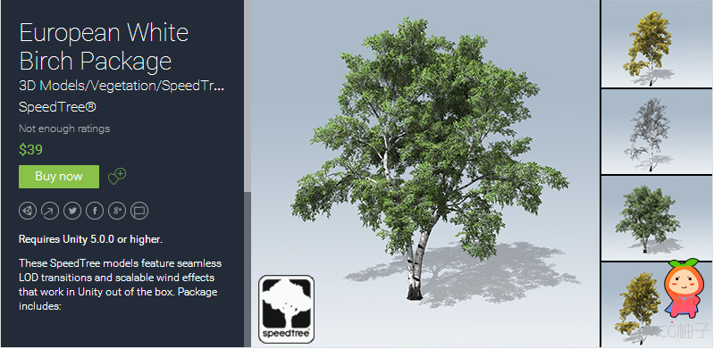 European White Birch Package 1.0 unity3d asset U3D模型插件下载 unity3d下载