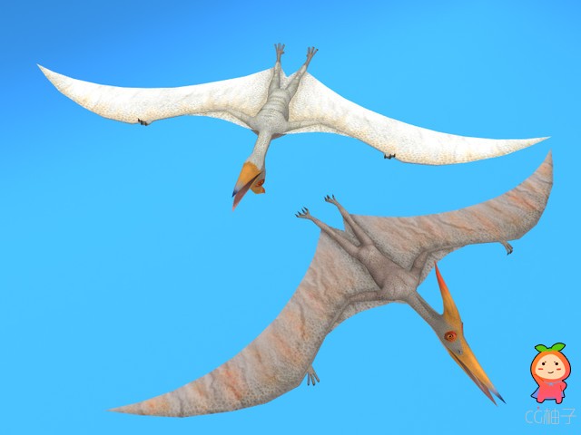 Pteranodon Dinosaur 2.0 unity3d asset U3D插件模型下载 unity3d官网--免费下载U3D模型资源 ... ...