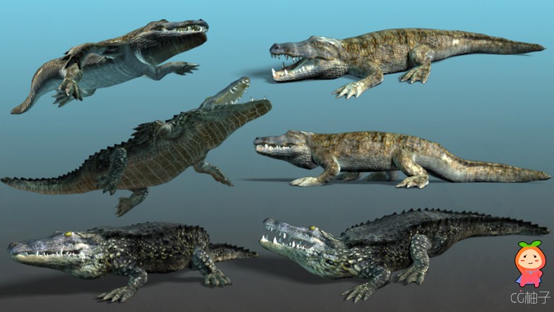 African Animal - Crocodile Bundle (2 pcs) 1.0 unity3d asset Unity3d下载，unitypackage插件资源