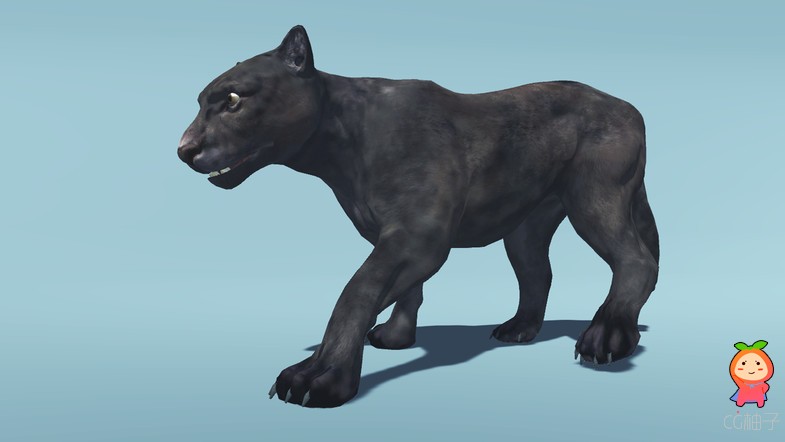 American Animal - Cougar (Full) 1.0 unity3d asset Unity3d插件模型，Unity3d package