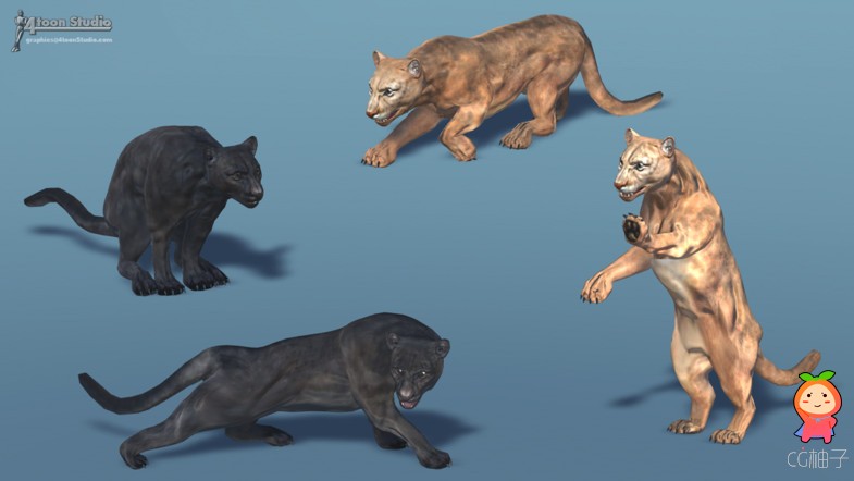 American Animal - Cougar (Full) 1.0 unity3d asset Unity3d插件模型，Unity3d package