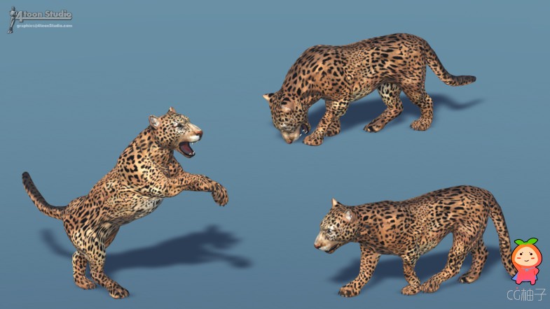 American Animal - Jaguar (Full) 1.0 unity3d asset Unity3d插件模型下载，Unity3d shader