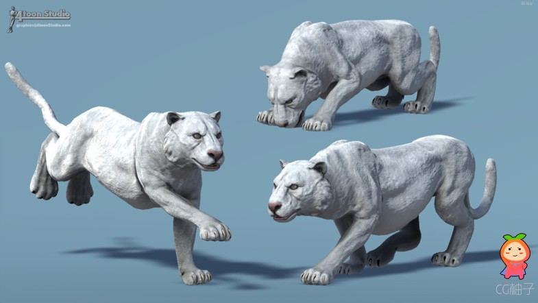 Asian Animal - Tiger (Full) 1.0 unity3d asset Unity官网 unityshader插件