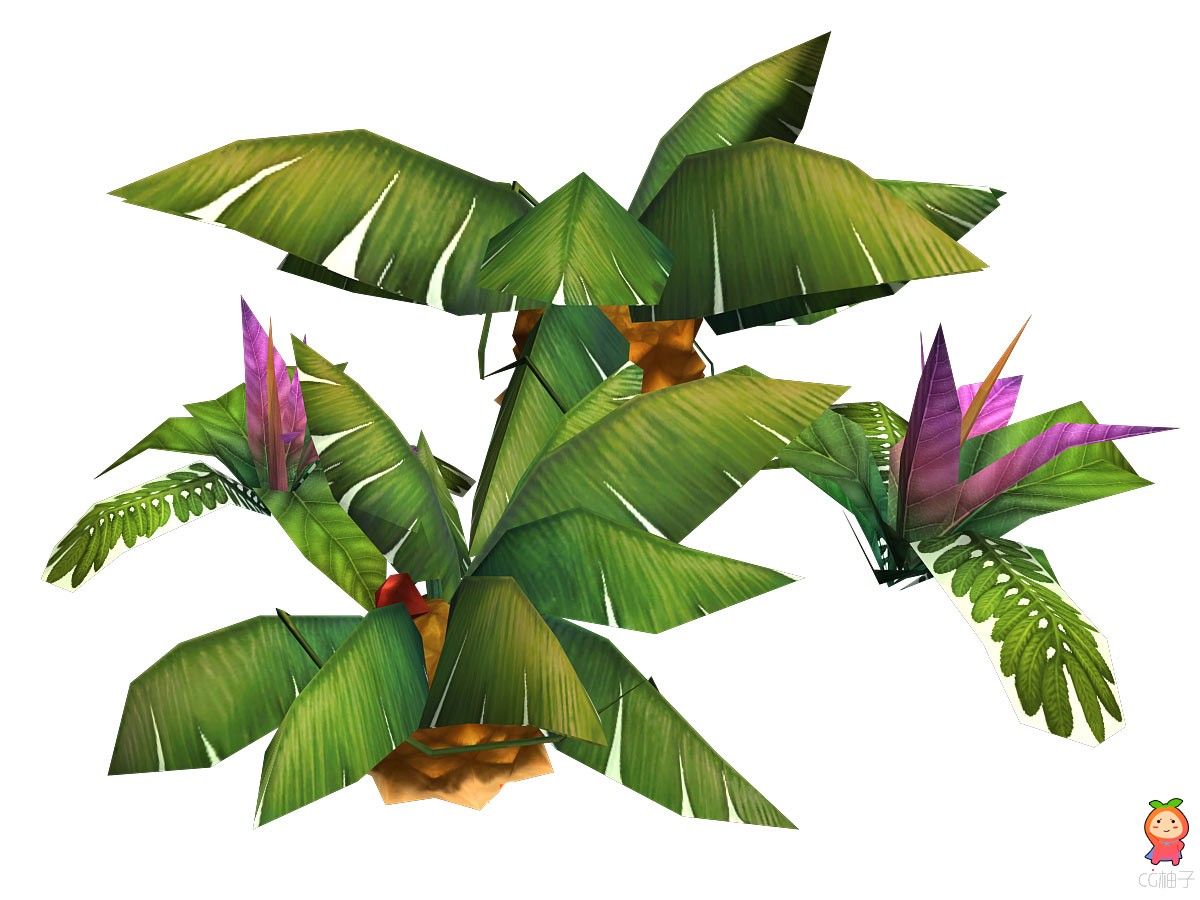 大叶子植物模型，大叶树木3D模型【免费】下载 CG模型资源