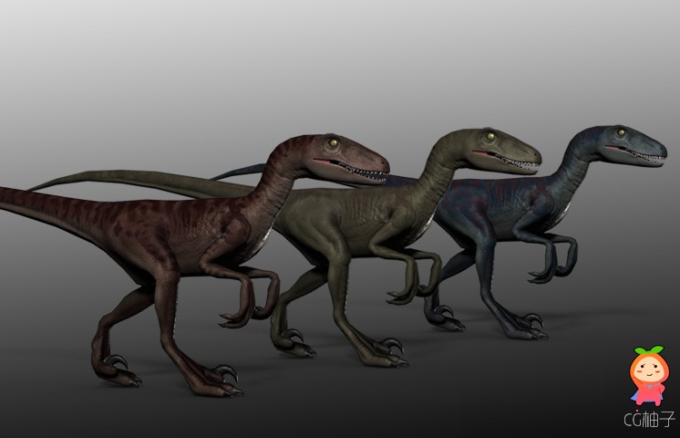 Velociraptor 1.0.1 unity3d asset U3D插件模型资源 Unity3d下载