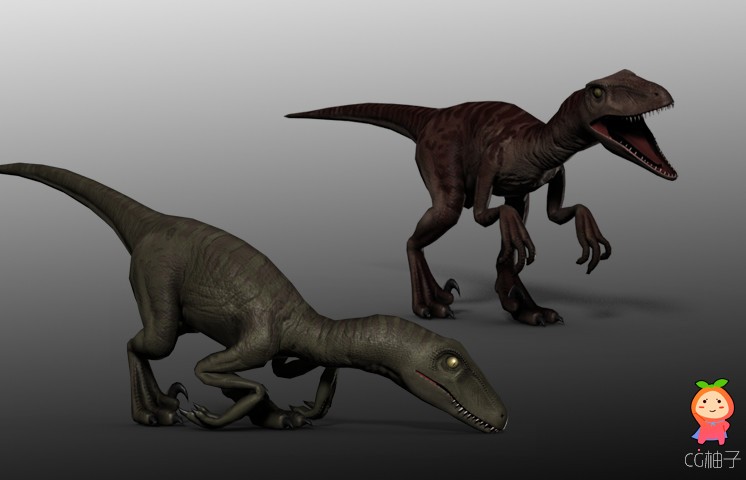 Velociraptor 1.0.1 unity3d asset U3D插件模型资源 Unity3d下载