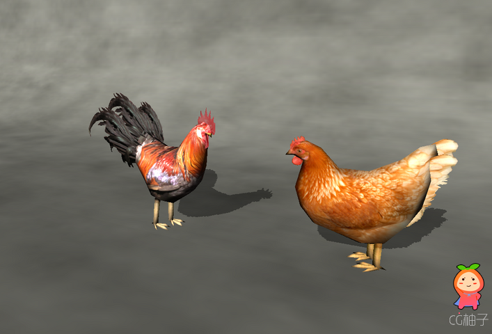  Animals - Chicken 1.2 unity3d asset U3D插件模型 Unity3d论坛