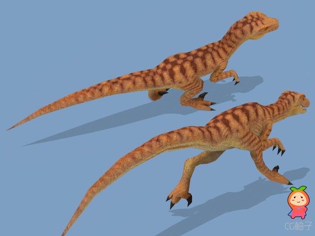  Velociraptor Dinosaur 1.0 unity3d asset U3D模型下载 Unity3d论坛