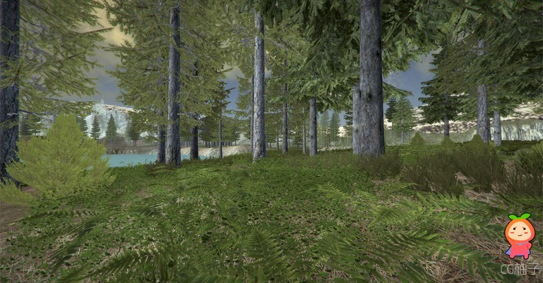 Alpine Forest Environment 1.0 unity3d asset U3D模型下载 Unity3d论坛