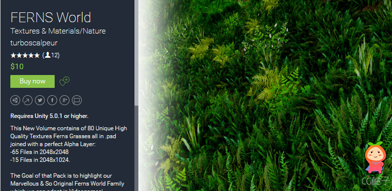 FERNS World 1.2 unity3d asset unity插件下载 unity3d官网