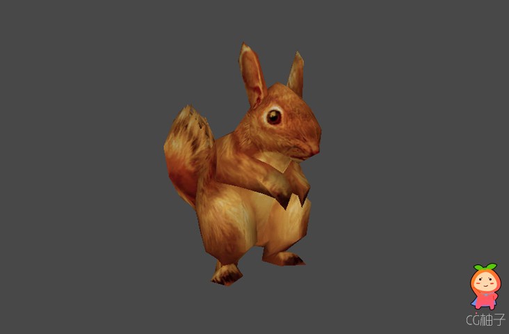 Squirrel Low Poly Model 1.1 unity3d asset U3D模型下载 Unity3d官网