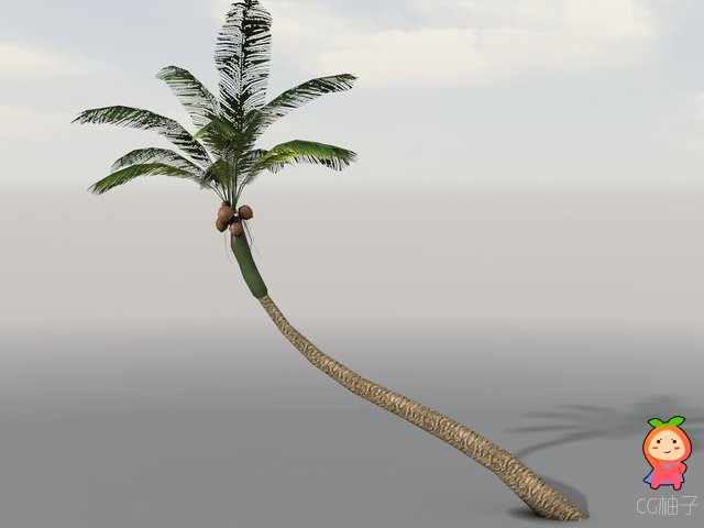 Tropical Vegetation 1.0 unity3d asset U3D模型下载 Unity3d论坛资源