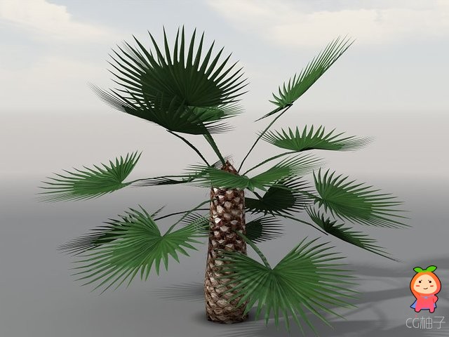 Tropical Vegetation 1.0 unity3d asset U3D模型下载 Unity3d论坛资源