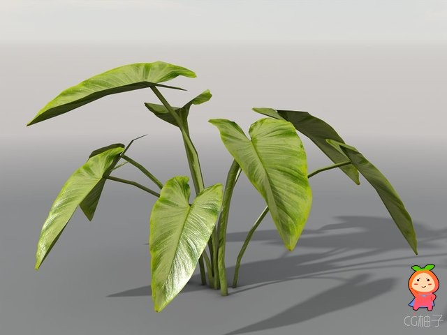 Tropical Vegetation 1.0 unity3d asset U3D模型下载 Unity3d论坛资源