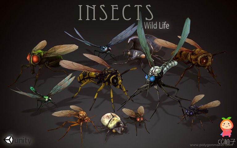 Wild Life - Insects 1.2 unity3d asset Unity3d模型 unity3d教程