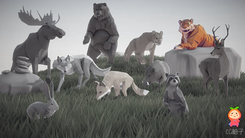 Poly Art Tiger 1.1.2 unity3d asset U3D模型下载 Unitypackage插件资源