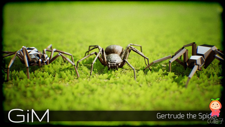 Animals Spider 1.0 unity3d asset unit3d插件官网，unitypackage插件