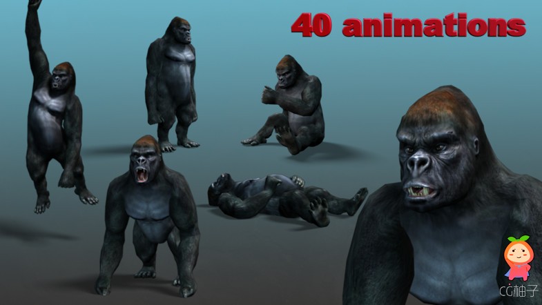 Cartoon Animal - Gorilla (Full) 1.0 unity3d asset Unity3d插件 U3D插件论坛