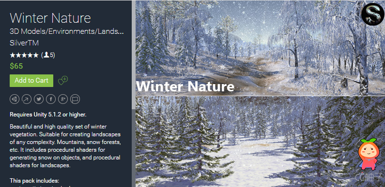 Winter Nature 1.0 unity3d asset Unity3d插件模型 unity3d插件