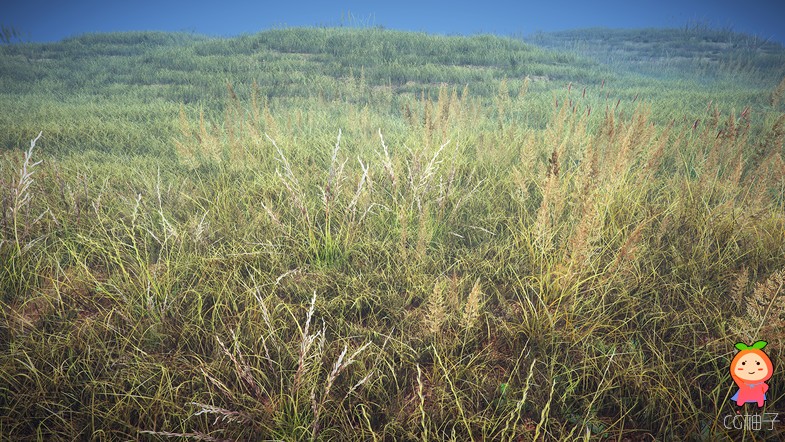 Grass Pack 1.2 unity3d asset U3D插件模型 Unity3d shader下载