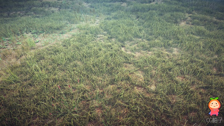 Grass Pack 1.2 unity3d asset U3D插件模型 Unity3d shader下载