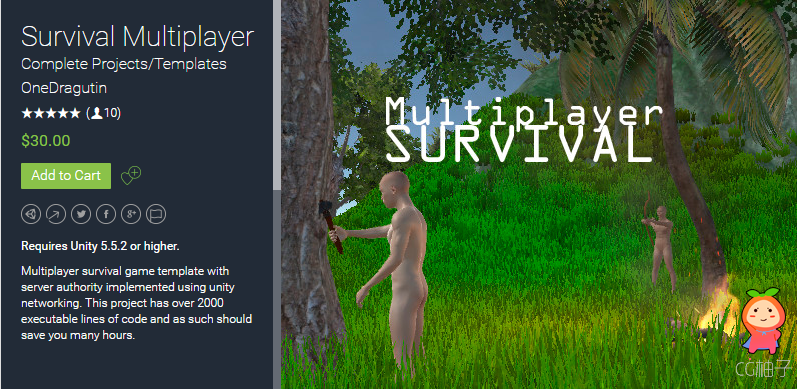 Survival Multiplayer 1.2 unity3d asset Unity3d插件下载 unity论坛