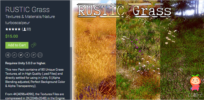 RUSTIC Grass 1.0 unity3d asset unity3d编辑器下载 unity3d插件官网