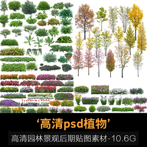 高清园林PSD树木植物 PS分层后期贴图素材 花卉 景石 单体植物