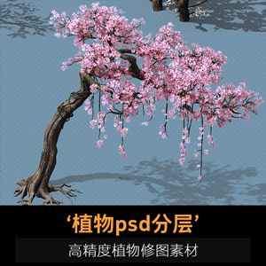 游戏场景素材 做图 修图 高精度植物植被 PSD分层素材 2D美术