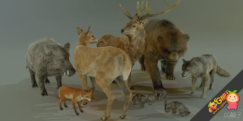 Forest Animals Pack 虚幻转Unity模型 U3D插件模型 unity教程