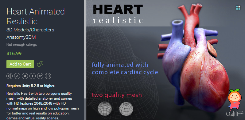 Heart Animated Realistic 1.0