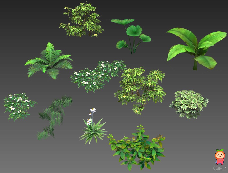 免费分享一批植物模型 花草树木3dmax植物下载 