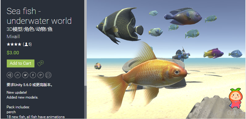 Sea fish - underwater world